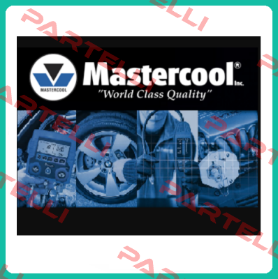 69370  Mastercool Inc