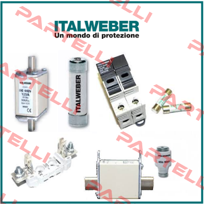 0100250 (pack x10) Italweber