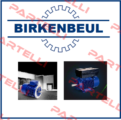 5AP63-4 605378 - OEM PRODUCT, NOT AVAILABLE. Robert Birkenbeul