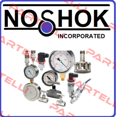 20-901-1000PSI/KPA-1/4  Noshok