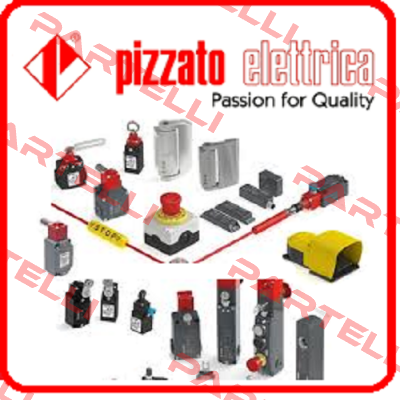 FG 60CD1D0A-F28  Pizzato Elettrica