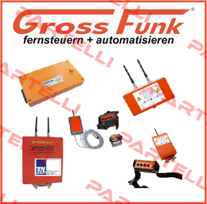 100-000-134 WECHSELAKKU 12V/1300MAH NIMH Gross Funk