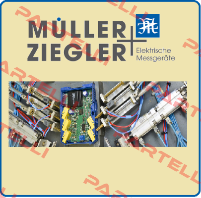 100286 Ziegler