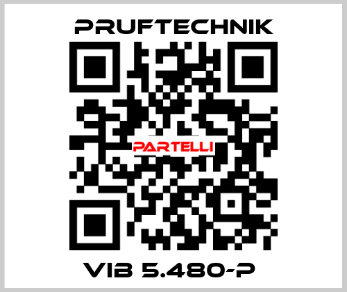 VIB 5.480-P  Pruftechnik