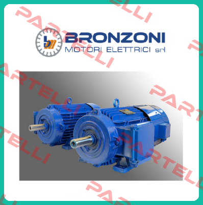 2.1Ton GaerMotor 220/380V 50/60Hz  Bronzoni