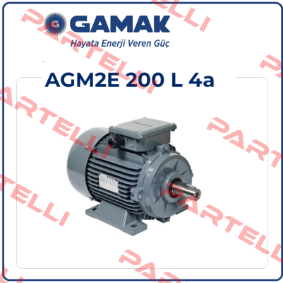 AGM2E 200 L 4 Gamak