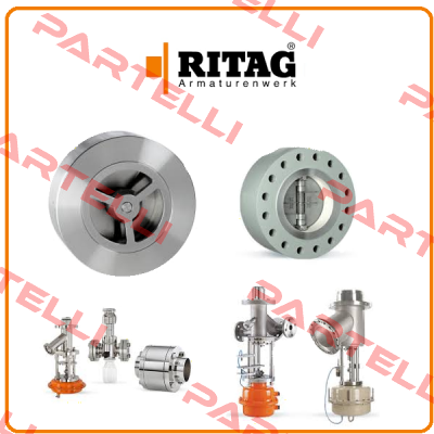 ZRK 1 DN200 PN10-40 Ritag