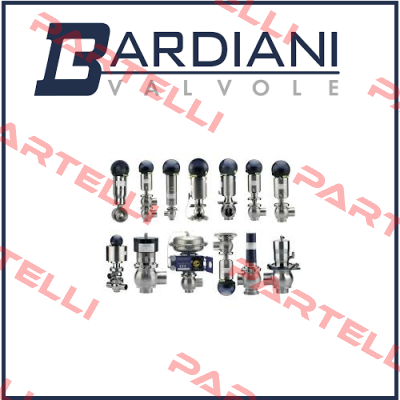 BBZP LL VITON SMS67 Bardiani Valvole