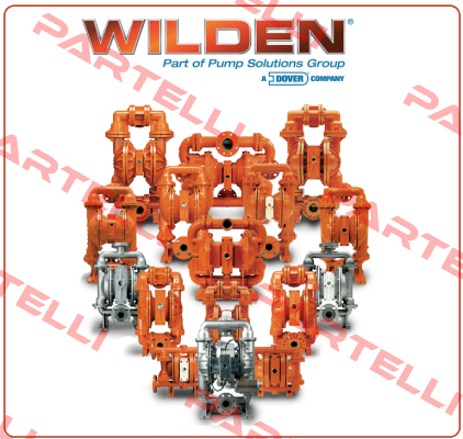 591601  Wilden