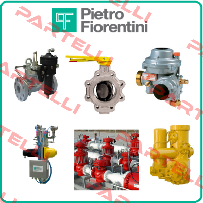 Trunnion  Pietro Fiorentini