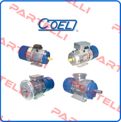 3835  COEL MOTOR 