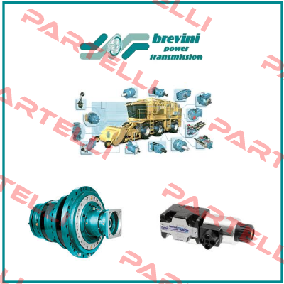 1110-9900-0003 (OEM) Brevini