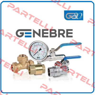 2954 08 (pack x15) Genebre