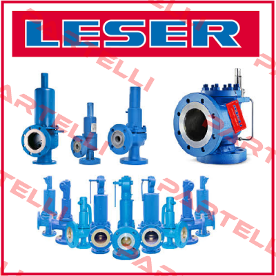 spare part: Spring with washers for Valve API 526 Leser