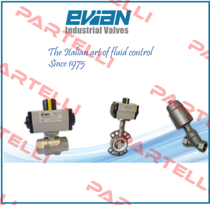 6463 G0 U450 DL (DN 250) Evian