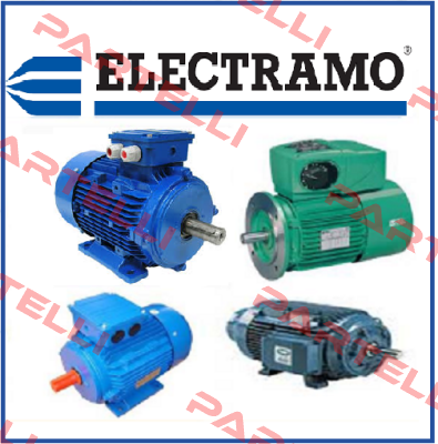 PN 16   ,25 LT  Electramo