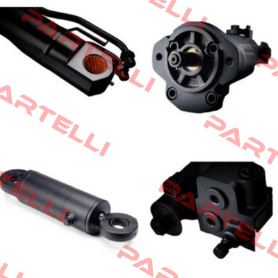 1PLL84-84-45DE10FFB Roquet pump