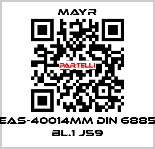 EAS-40014MM DIN 6885 BL.1 JS9 Mayr