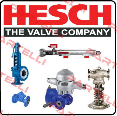 257898-003 Hesch