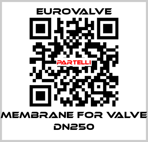 membrane for valve DN250 Eurovalve