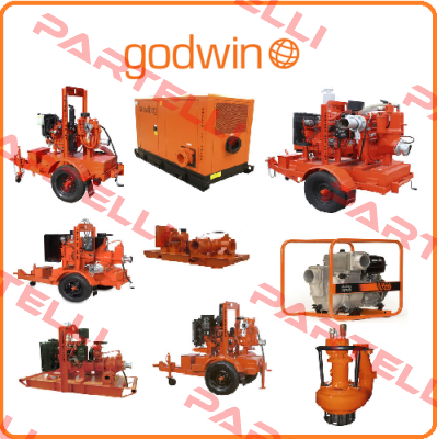 "6"" X 50"" Godwin Pumps