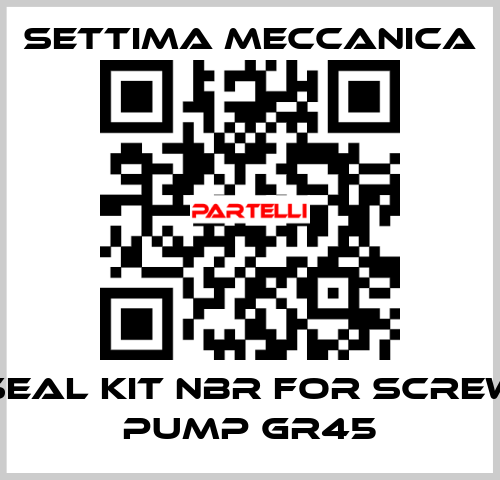 SEAL KIT NBR FOR SCREW PUMP GR45 Settima Meccanica