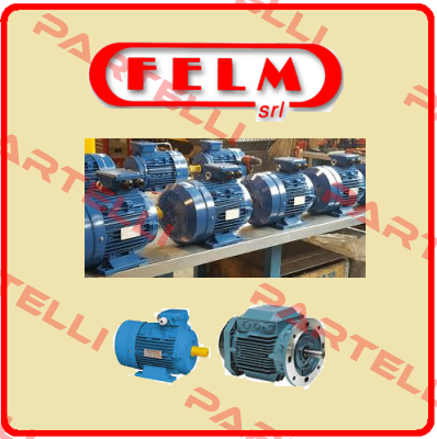 Revision kit for FA2-100L-2 Felm