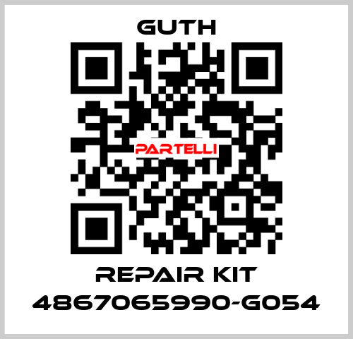 repair kit 4867065990-G054 Guth