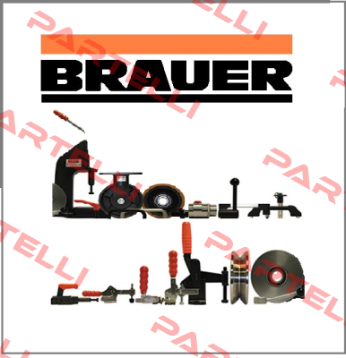 UJ10N Brauer