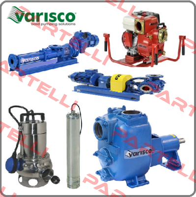 10001351 Varisco pumps