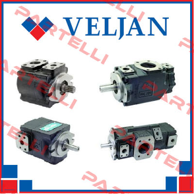 P2  cartridge rebuilt kit Veljan