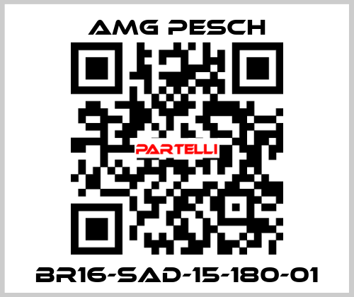 BR16-SAD-15-180-01 AMG Pesch