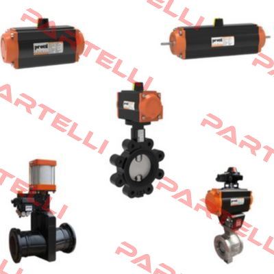 Valve For PA075DA Proval