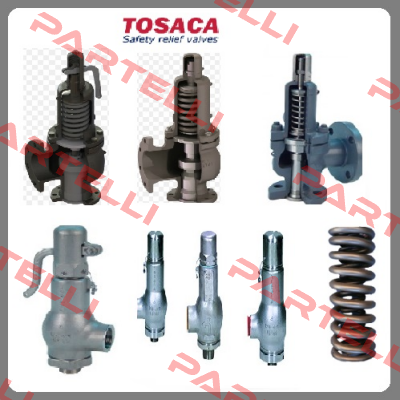 1400-40X65CS-40-M-01000-30,0G20  Tosaca