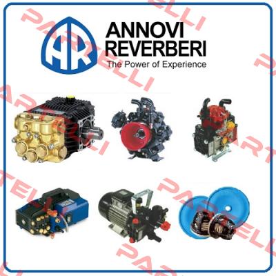 SUCTION AND DISCHARGE VALVE SET FOR SHP 10.50 WASHING PUMP  Annovi Reverberi