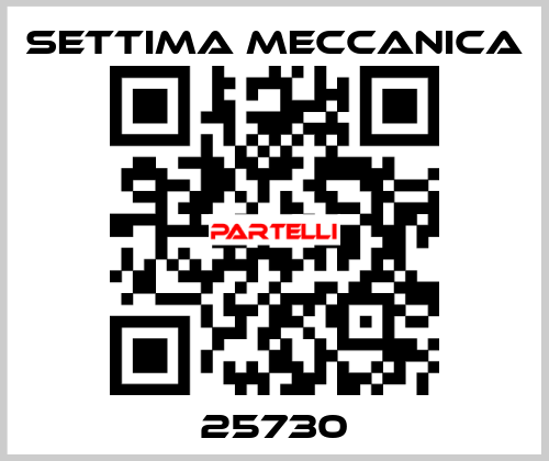 25730 Settima Meccanica