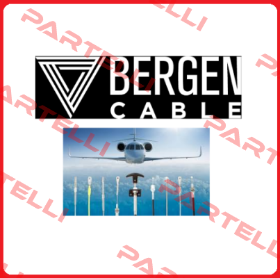 BM323 Bergen Cable Technology Llc