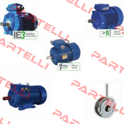 Elektrim DS Motor 3SIEL 80-2B Cantoni