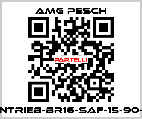 AMG-Antrieb-BR16-SAF-15-90-01-n=12 AMG Pesch