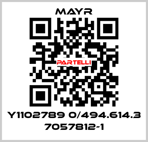 Y1102789 0/494.614.3 7057812-1 Mayr