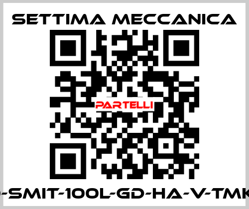 GR40-SMIT-100L-GD-HA-V-TMK-CSM Settima Meccanica