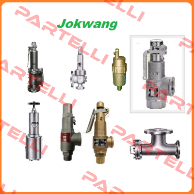 bearing cover for valve  JSV-FF100 Jokwang