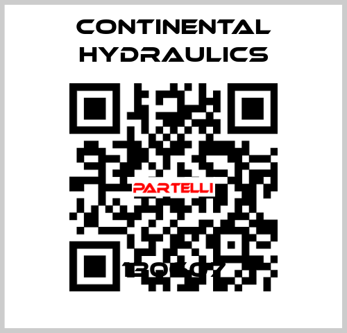 130607 Continental Hydraulics