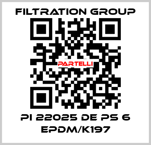 PI 22025 DE PS 6 EPDM/K197 Filtration Group