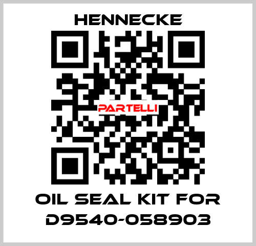 oil seal kit for D9540-058903 Hennecke