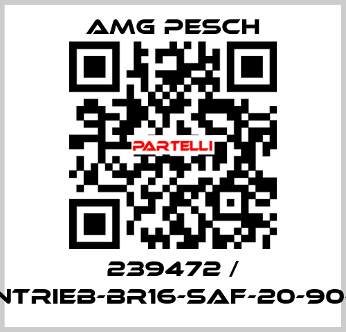 239472 / AMG-Antrieb-BR16-SAF-20-90-01-n=12 AMG Pesch