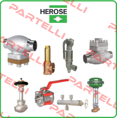 06401 DN15 (Repair kit) Herose