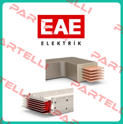 21650  EAE ELEKTRİK