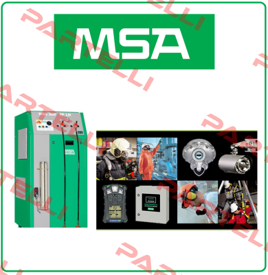 10053022 Msa