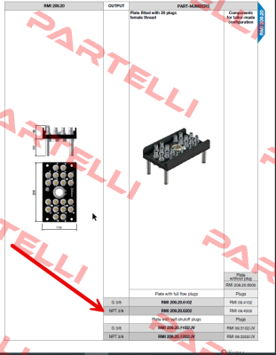 RMI209.20.6202 Staubli